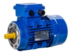 Motor VDL Fittra Pan Line, Mounts Directly Onto Gearbox With A Dry Joint, 0.55kW, 3 Phase, 4 Pole