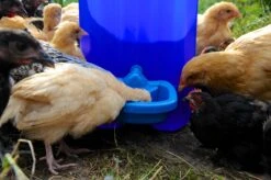 Maxicup Drinker -Home Tools Store P8 P9 930375 b