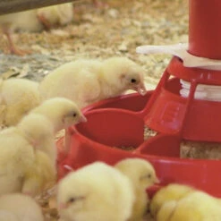 VDL Valenta Feed Pan -Home Tools Store valenta excellent start cmyk klein